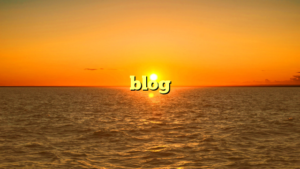 blog
